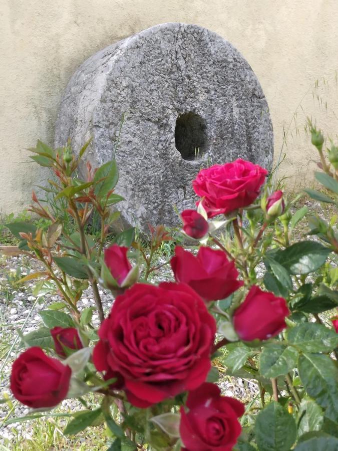 Il Giardino Di Julia B&B Tortora Buitenkant foto