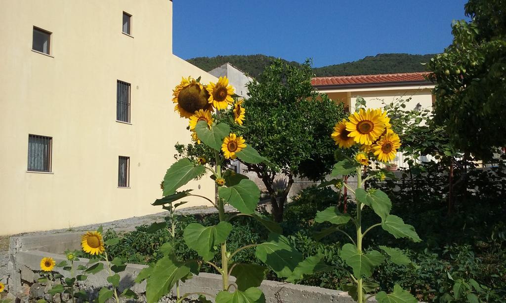 Il Giardino Di Julia B&B Tortora Buitenkant foto