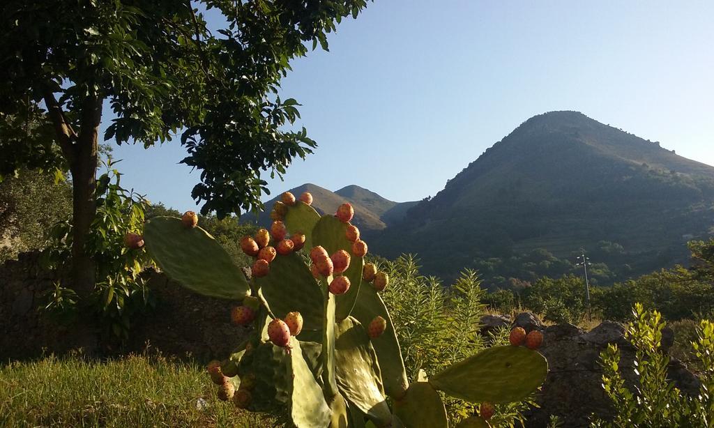 Il Giardino Di Julia B&B Tortora Buitenkant foto