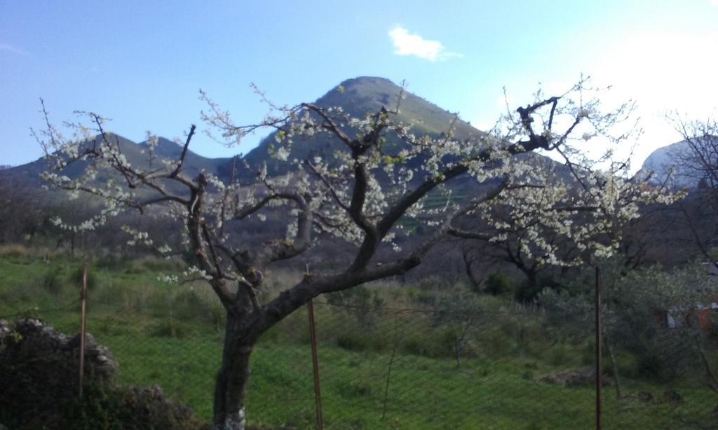 Il Giardino Di Julia B&B Tortora Buitenkant foto