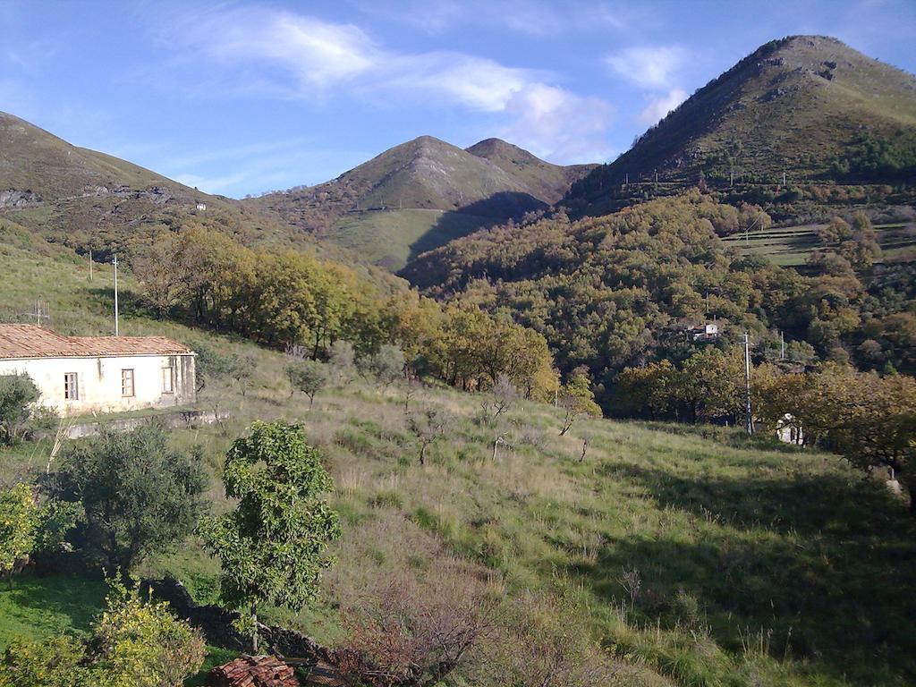 Il Giardino Di Julia B&B Tortora Buitenkant foto