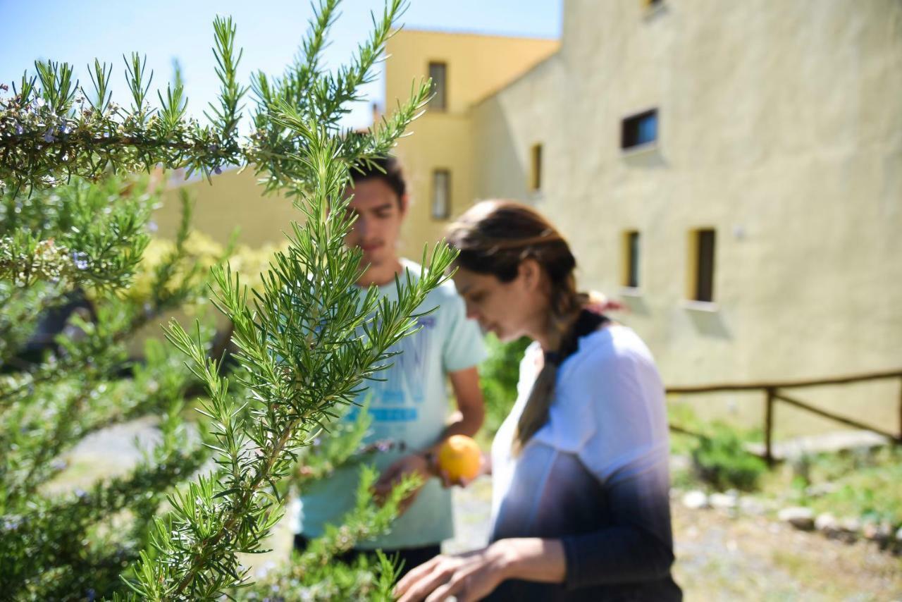 Il Giardino Di Julia B&B Tortora Buitenkant foto