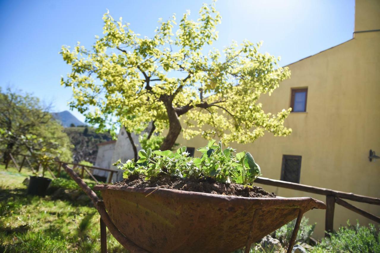 Il Giardino Di Julia B&B Tortora Buitenkant foto